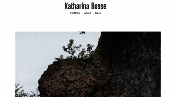 katharinabosse.com