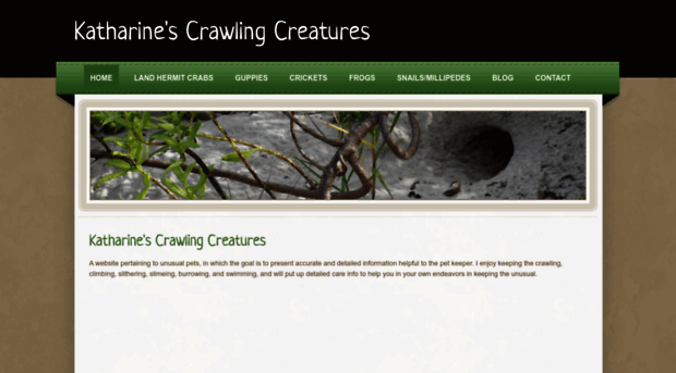 katharinescrawlingcreatures.weebly.com