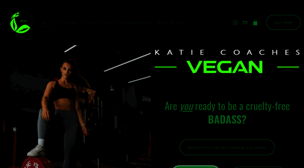 katiecoachesvegan.com