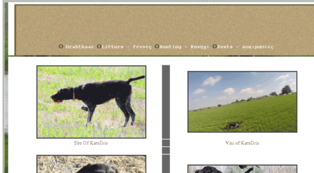 katodrisgundogs.com.cy