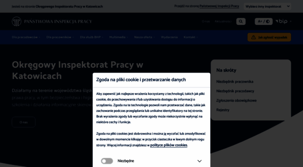 katowice.pip.gov.pl