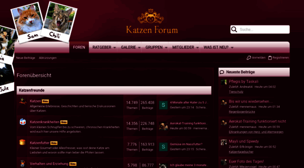 katzen-forum.de