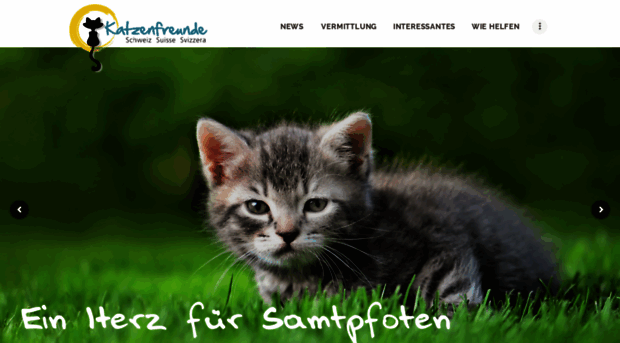 katzenfreunde-schweiz.ch