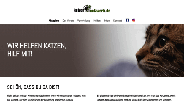 katzennetzwerk.de