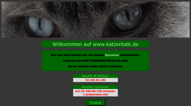 katzentalk.de