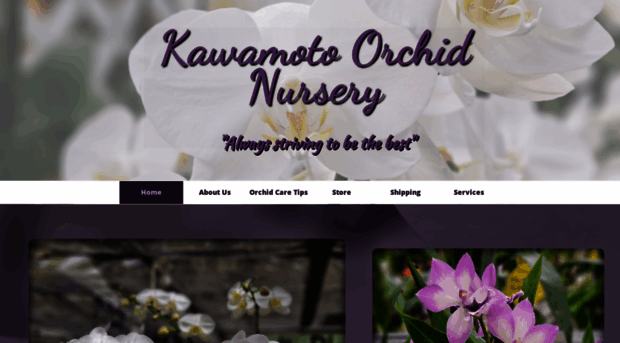 kawamotoorchids.com