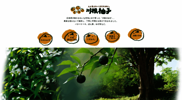 kawaneyuzu.com
