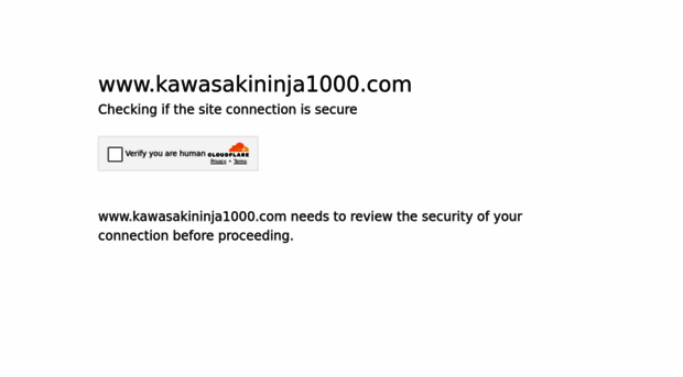 kawasakininja1000.com