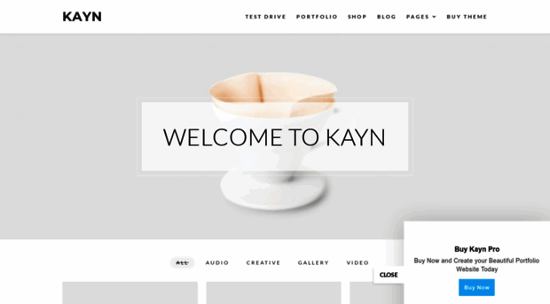 kayn-pro.wp-royal-themes.com