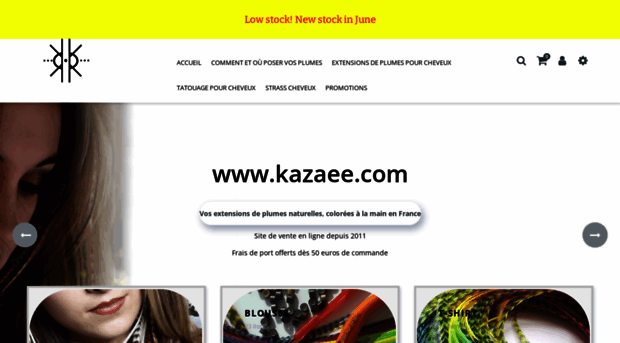 kazaee.com