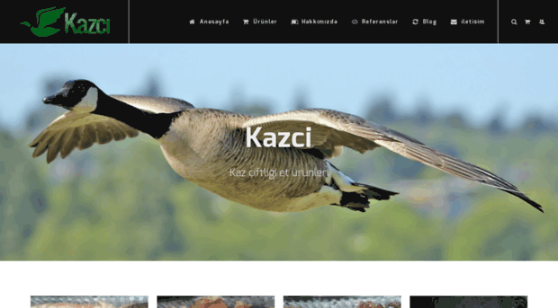 kazci.net