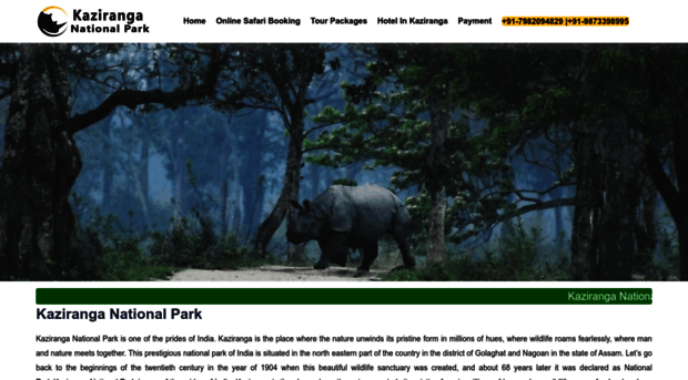 kaziranganationalpark-india.com