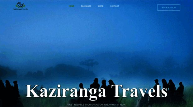 kazirangatravels.com