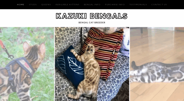 kazukibengals.com