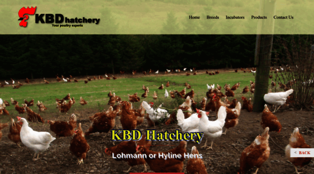 kbdhatchery.co.za