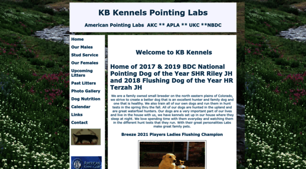 kbkennelspointinglabs.com