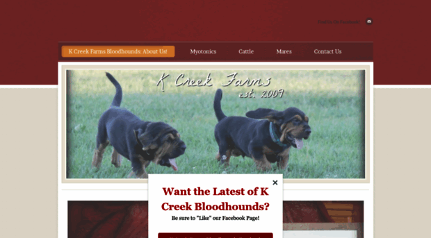 kcreekfarms.com