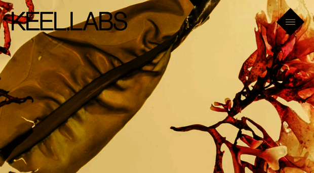 keellabs.com