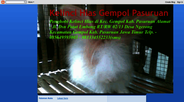 kelincihiaspasuruan.blogspot.com