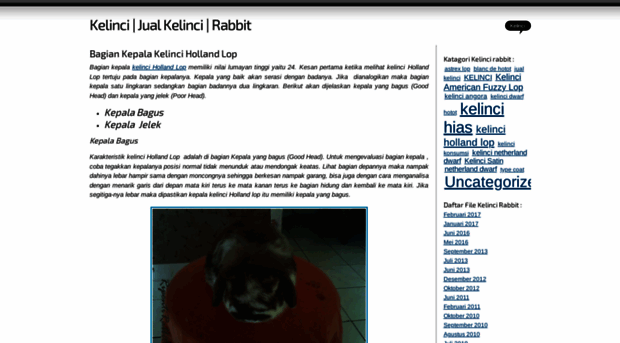 kelincirabbit.wordpress.com