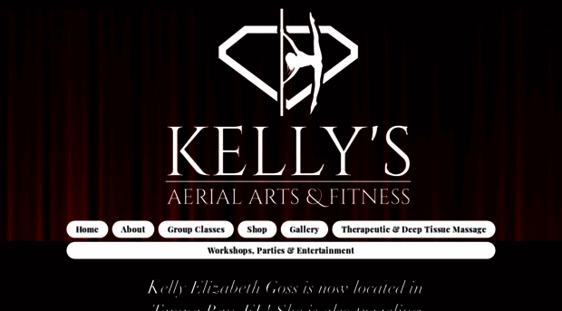 kellysaerialartsandfitness.com