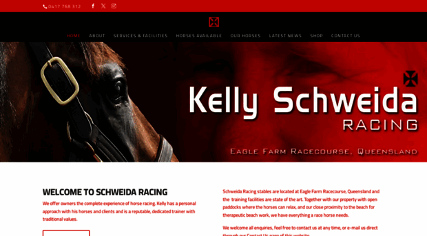 kellyschweidaracing.com