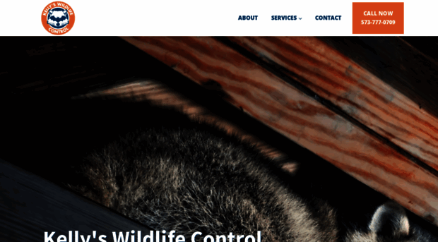 kellyswildlifecontrol.com