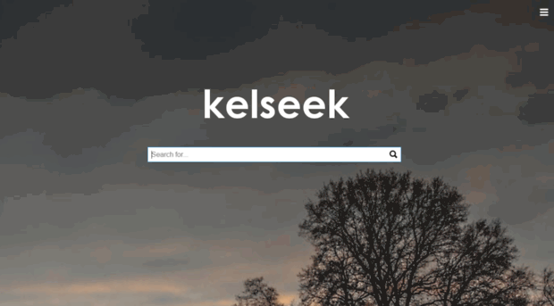 kelseek.de