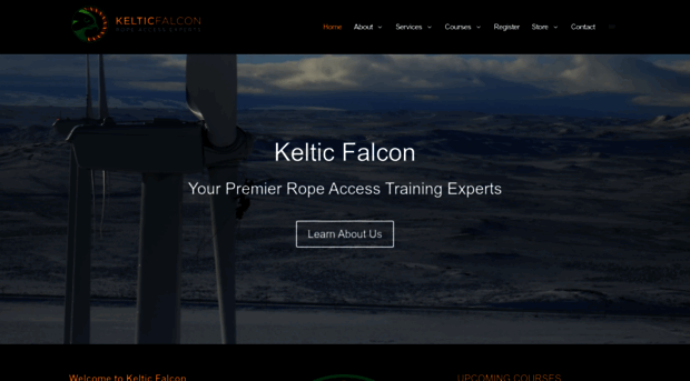 kelticfalcon.com
