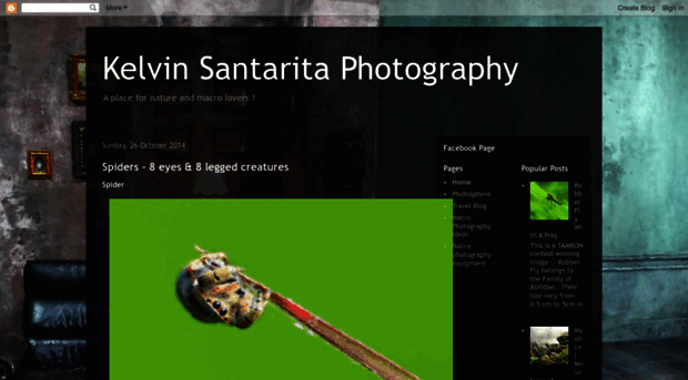 kelvinsantaritaphotography.blogspot.in