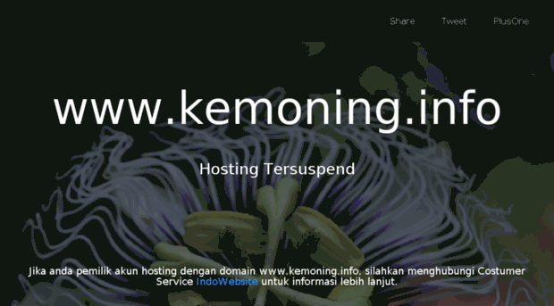 kemoning.info
