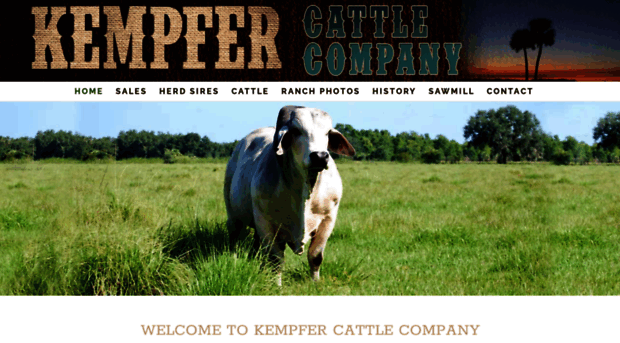 kempfercattleco.com