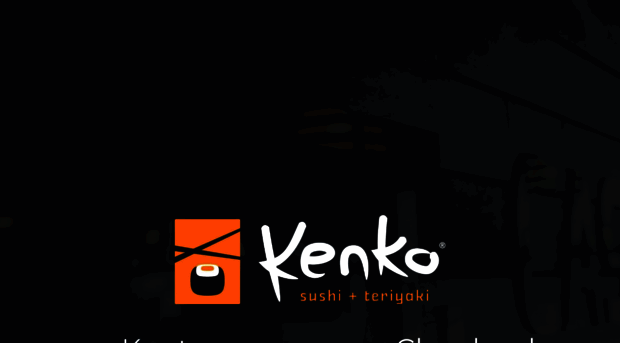 kenko-usa.com