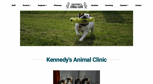 kennedysanimalclinic.com