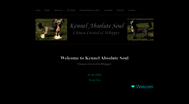 kennelabsolutesoul.com