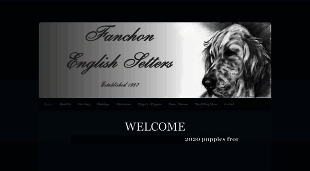 kennelfanchon.com