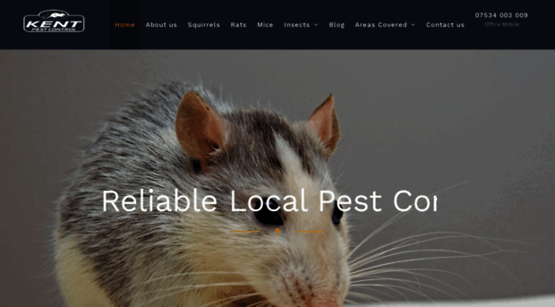 kent-pest-control.co.uk