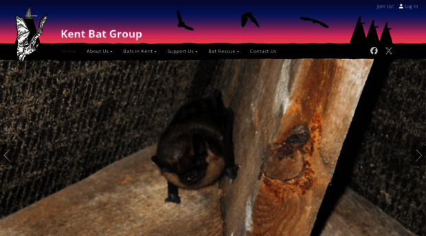 kentbatgroup.org.uk