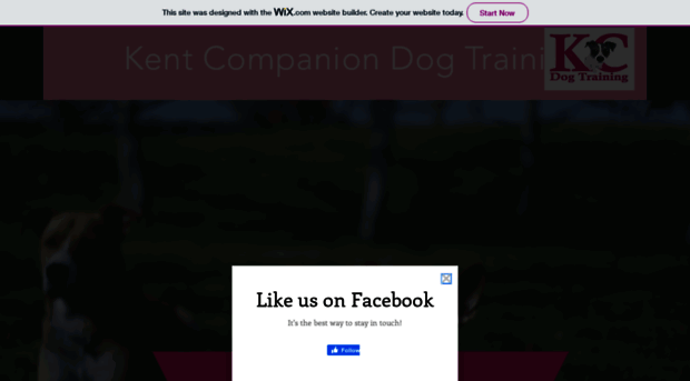 kentcompaniondogtraining.co.uk