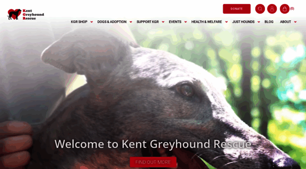 kentgreyhoundrescue.com