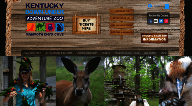 kentuckydownunder.com