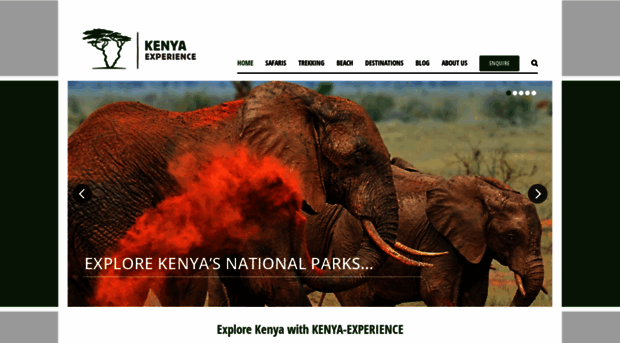 kenya-experience.com