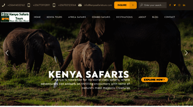 kenyasafaristours.com