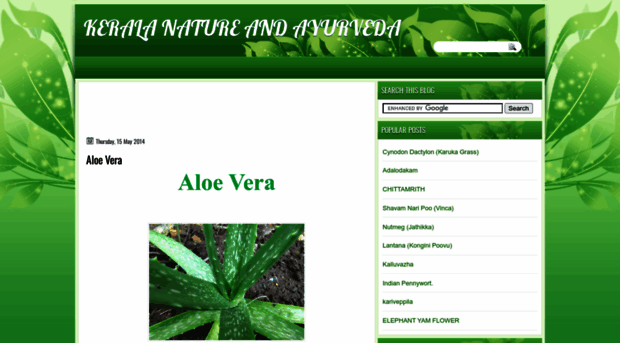 keralaandayurveda.blogspot.com