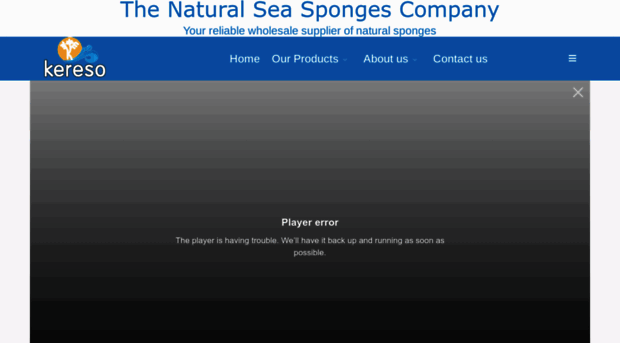 kereso-sponges.com