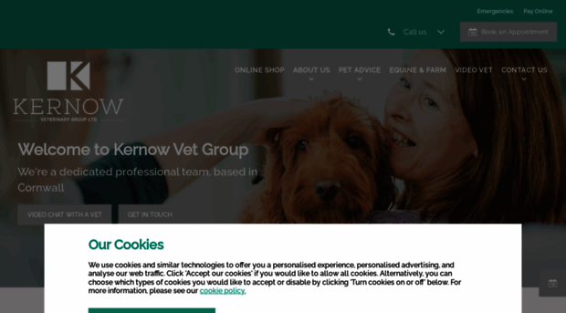 kernowvetgroup.com