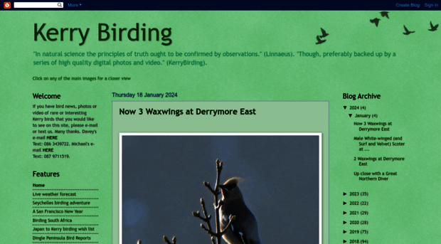 kerrybirding.blogspot.ie