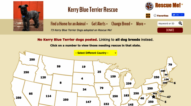 kerryblueterrier.rescueme.org