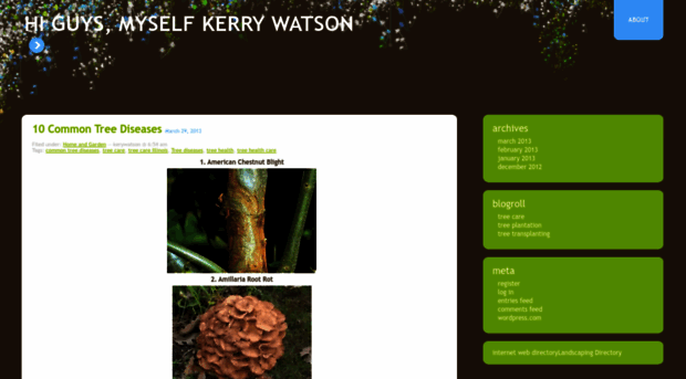 kerywatson.wordpress.com