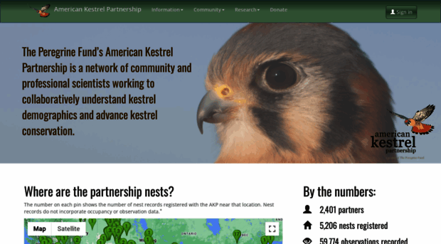 kestrel.peregrinefund.org